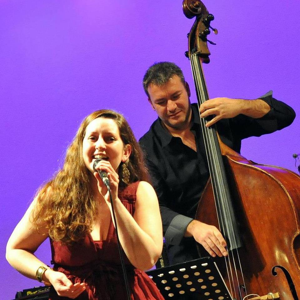 Orchestre de variété avec des Chanteur-musiciens professionnels